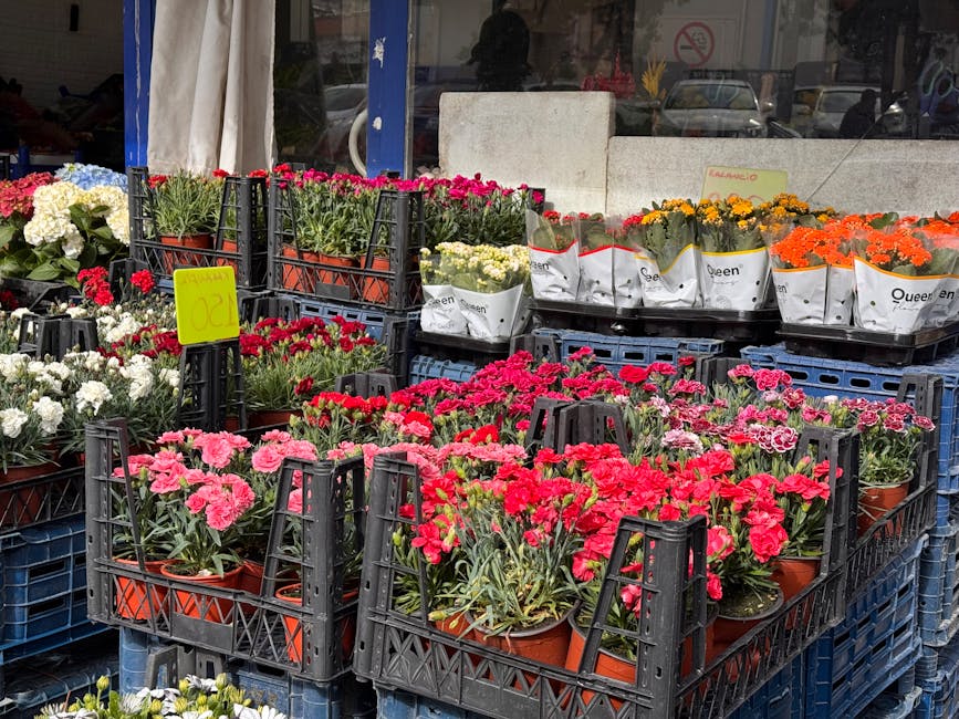 A display of various potted flowers arranged in black plastic crates outside a flower shop, featuring bright pink, red, white, orange, and yellow blooms. Some plants are wrapped in white paper with br